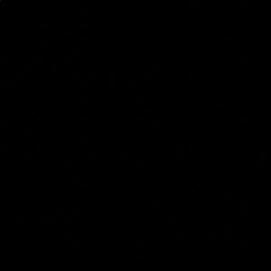 Meet your Posher, Eva